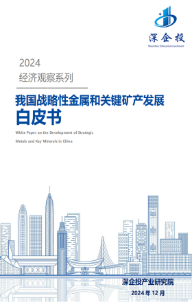 我国战略性金属和关键矿产发展白皮书